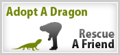Adopt A Dragon Rescue A Friend