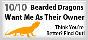 Bearded Dragon Badge